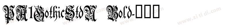 PA1GothicStdN Bold字体转换